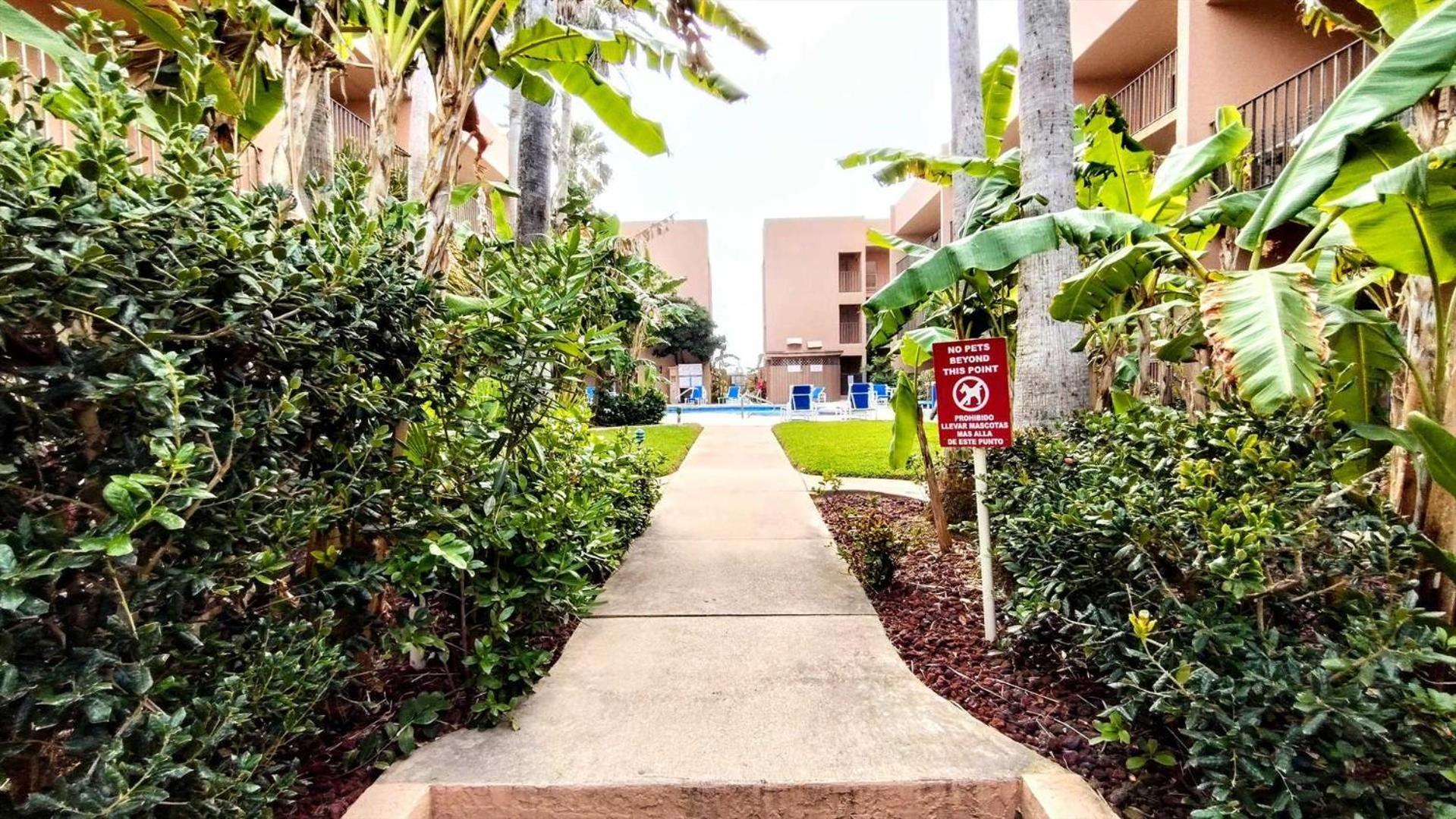 Beachview 206 Condominium Condo South Padre Island Extérieur photo